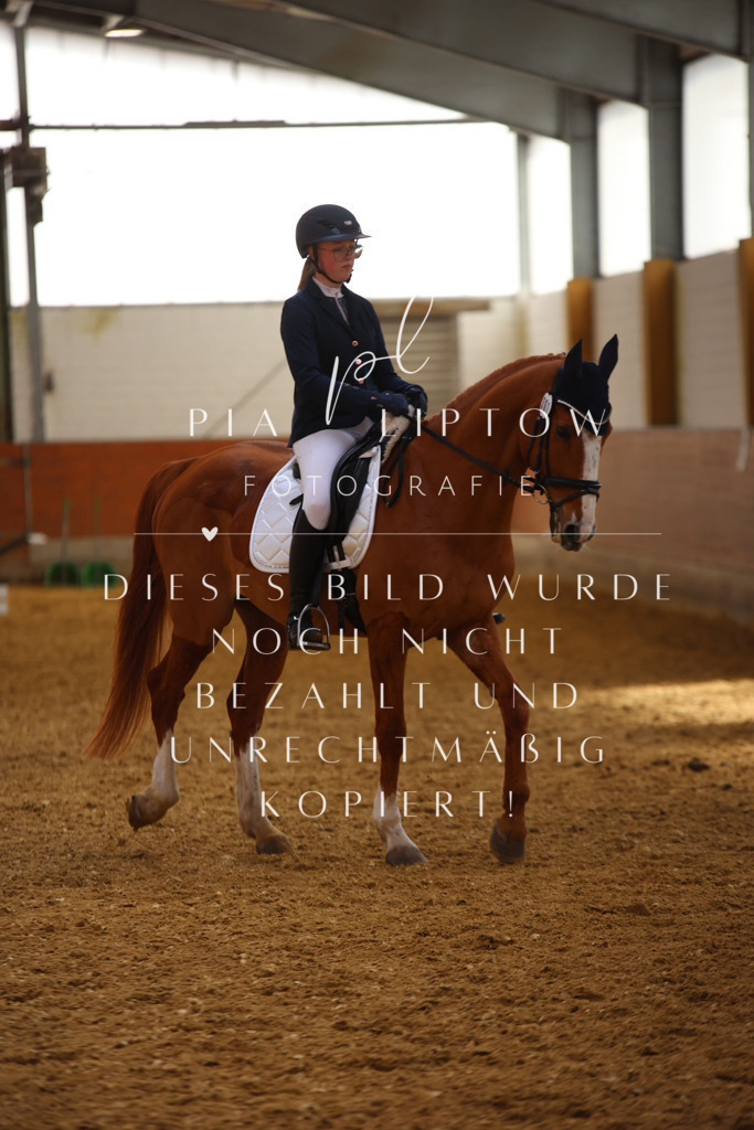 IMGT3982 | pl-fotografie