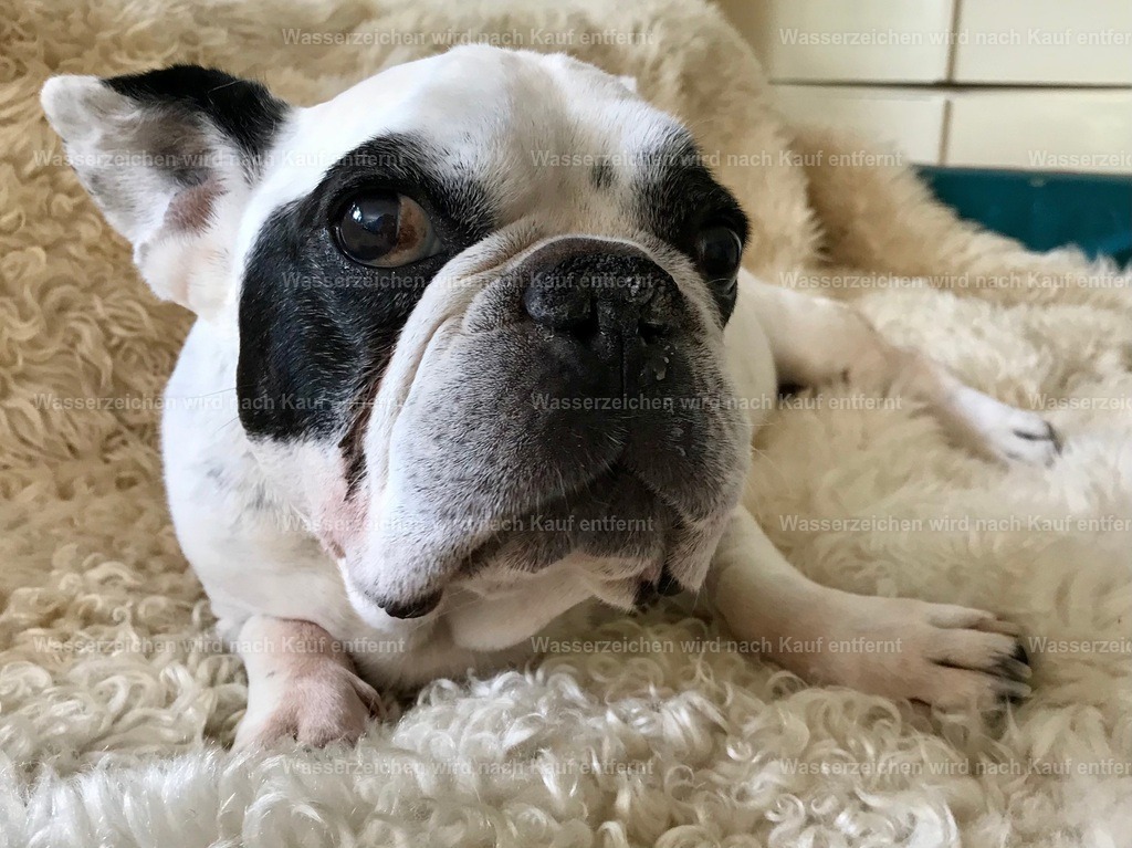 IMG_1365 | heikomoeller - Realisiert mit Pictrs.com