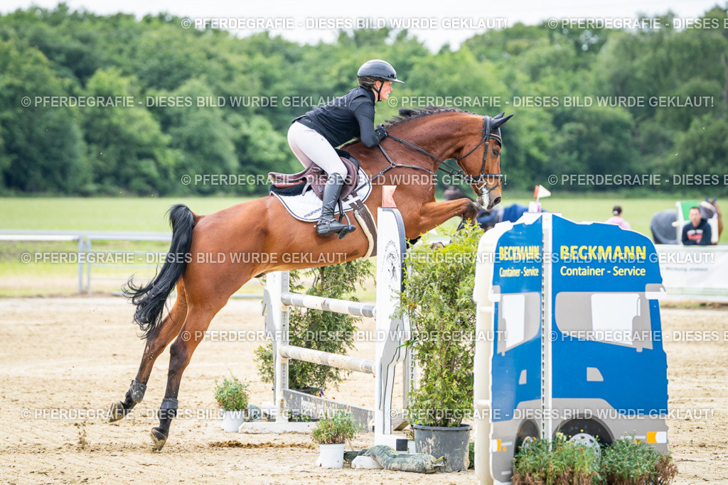 DSC05223 | Pferdegrafie