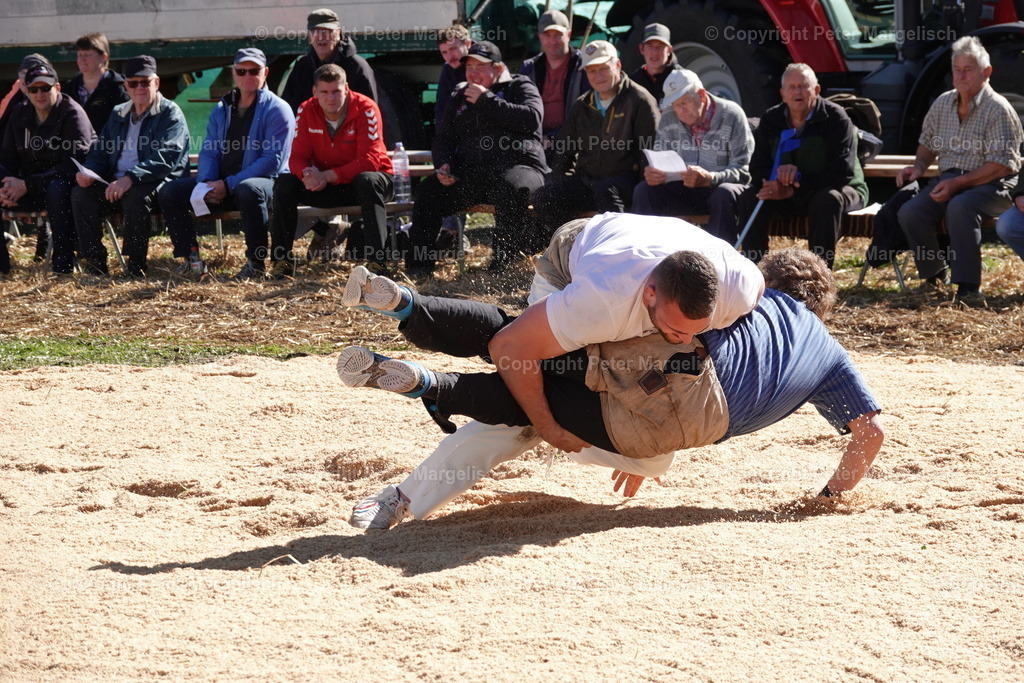 DSC00039 | Schwingen - Realisiert mit Pictrs.com