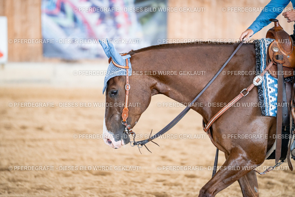 DSC08582 | Pferdegrafie