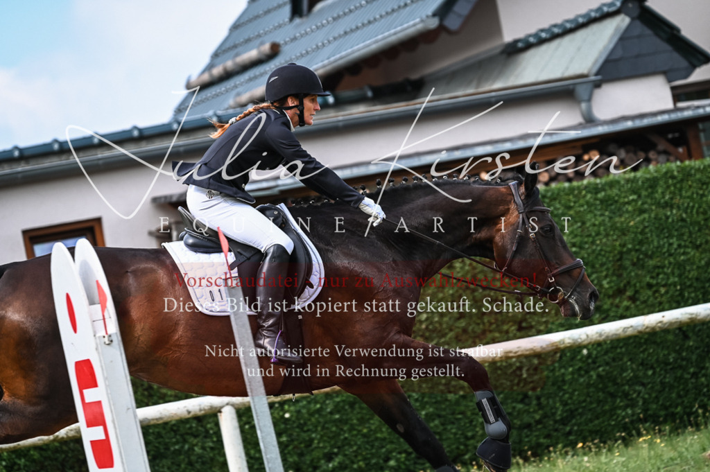 DSC_8328 | Pferde- und Turnierfotografie in Westsachsen. Pferdeportraits, Auftragszeichnungen und intuitive Kunst.