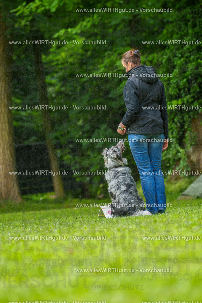 @allesWIRTHgut_Tierfotografie - www.allesWIRTHgut.de - 7R502032 | Professionelle Tierfotografie in Mönchengladbach von Daniel Wirth (allesWIRTHgut). Liebevolle & natürliche Bilder von Hunden & Katzen für unvergessliche Erinnerungen.
