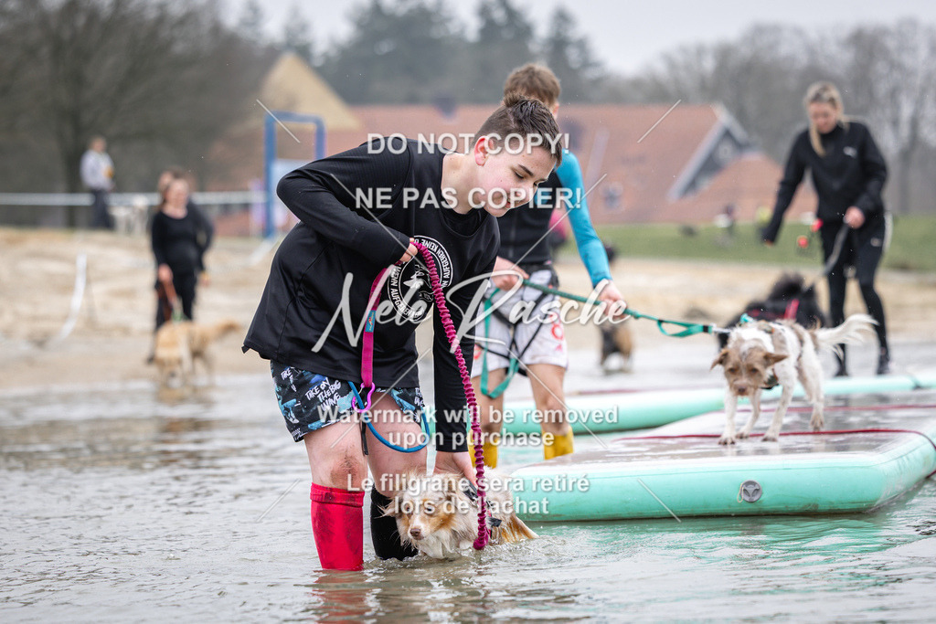 nelerasche_Hulsbeek_Sa1100-1130_64 | nelerasche