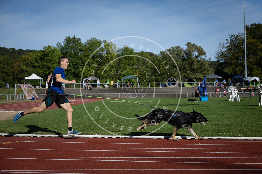 Pfotenfotografie_DV3A9183 | Hundefotografie, Tierfotograf, Pfotenfotografie, Fotoshooting Hund, Hunde Portrait, Hundesport, Hundeportraits, Heideshooting, Hunde, Sportfotograf, Hundefotograf, Turnierhundsport, THS,  - Realisiert mit Pictrs.com