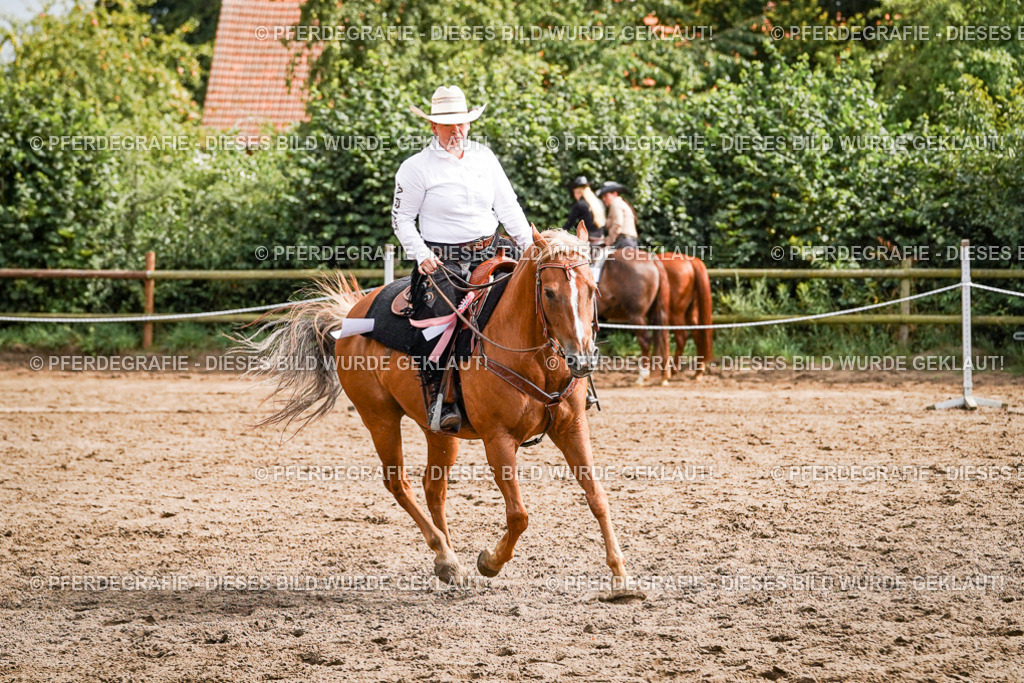 DSC09312 | Pferdegrafie