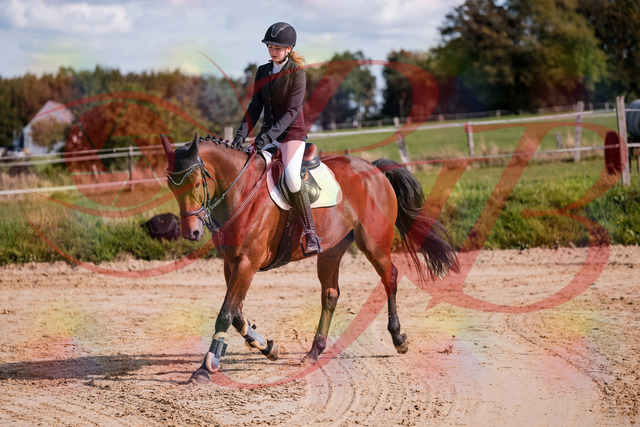 2026_10_03_Siefer-Hof_143553_Z81_05182595 | Professionelle Reitsport-, Turnier- und Eventfotografie von Robert Broda. Galerien mit ausgewählten und bearbeiteten Bildern direkt online ansehen und bestellen.