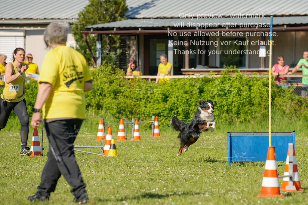 Sa_CSC-308 | stephaniefillaphotographie - Realisiert mit Pictrs.com