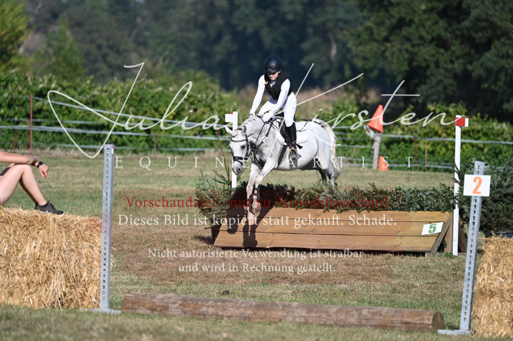 DSC_8961 | Pferde- und Turnierfotografie in Westsachsen. Pferdeportraits, Auftragszeichnungen und intuitive Kunst.