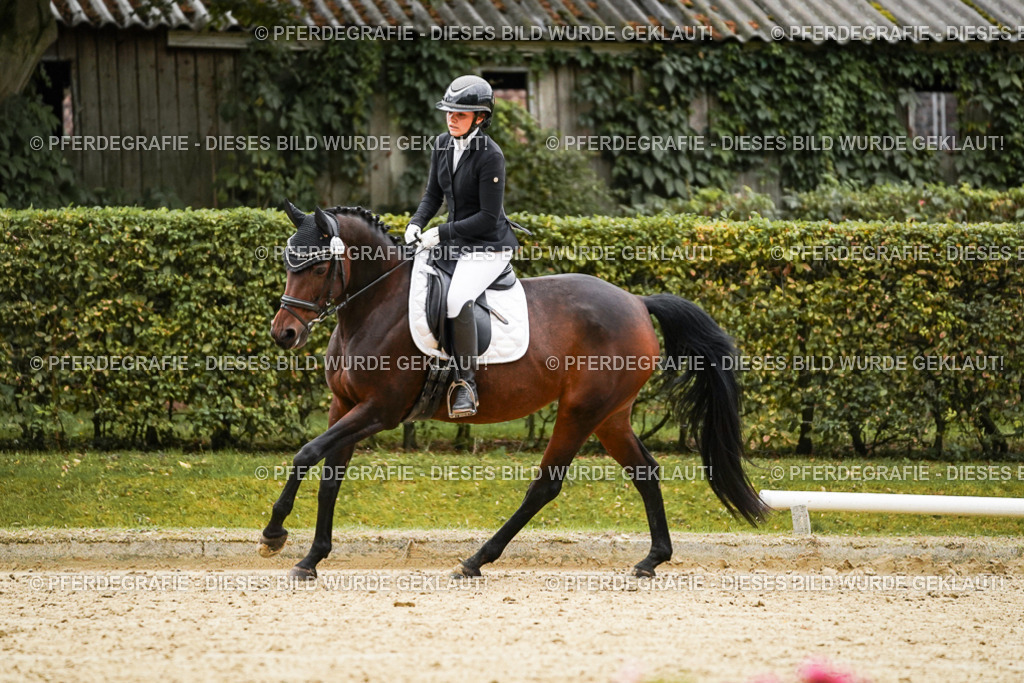 DSC07097 | Pferdegrafie