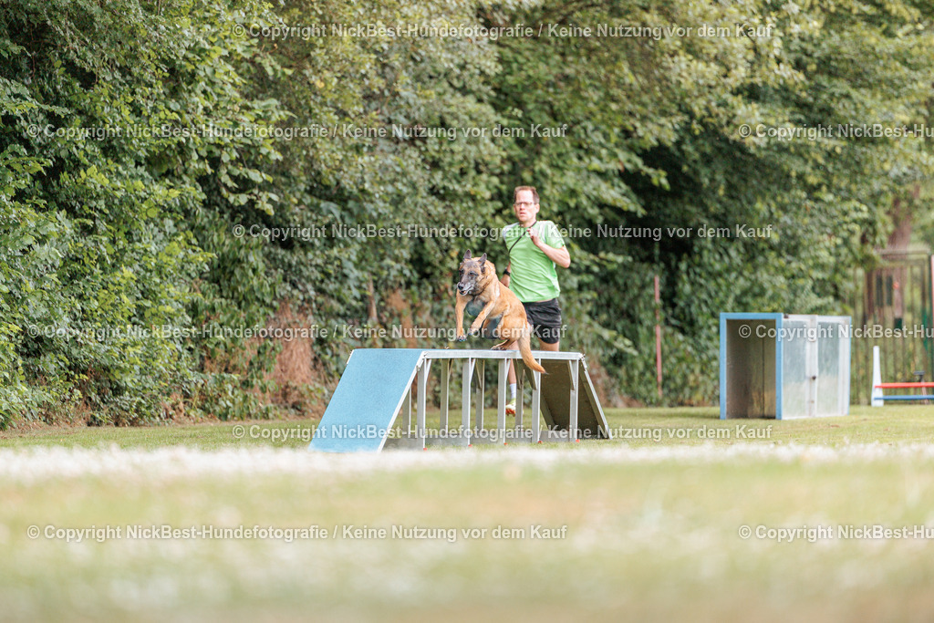 THS-Quakenbrück-2026-Nickbest-Hundefotografie-3072 | Dein Hund! Dein Moment! Deine Erinnerungen! Hundefotografie in Bremen Blumenthal. Ich fange die besonderen Momente deines Vierbeiners ein – ob Indoor mit Blitzanlage oder in der freien Natur. Sicher dir dein Moment und dein Termin für eure Erinnerungen.