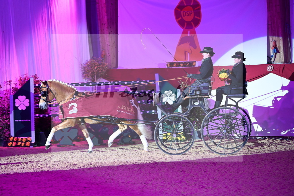DSP_Avici_As_Karosser_2254570 | hf-fotografie - Realisiert mit Pictrs.com