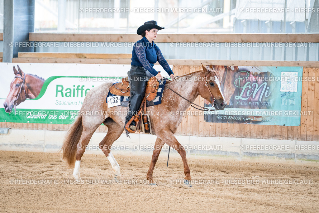 DSC02018 | Pferdegrafie