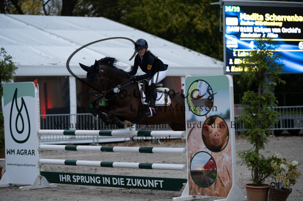 A7V00118 | Pferdefotograf