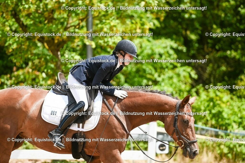 20230716_03_Dressurprfg. Kl.L - Tr._0425 | equistock