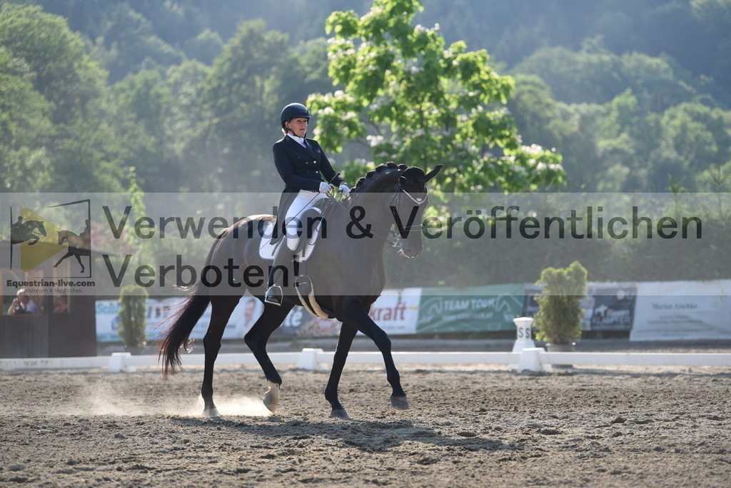 DSC_3256 | equestrian-live-com
