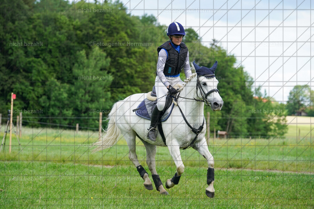 20240518-FAH04051 | Turnierbilder von Niederseon, Turnierfotografen Bayern, Fotoagentur Herrmann, Geländebilder, Reitsportfotografie