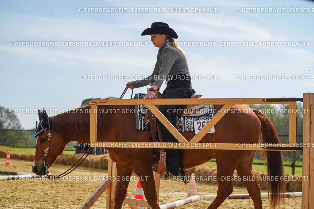 DSC01889 | Pferdegrafie