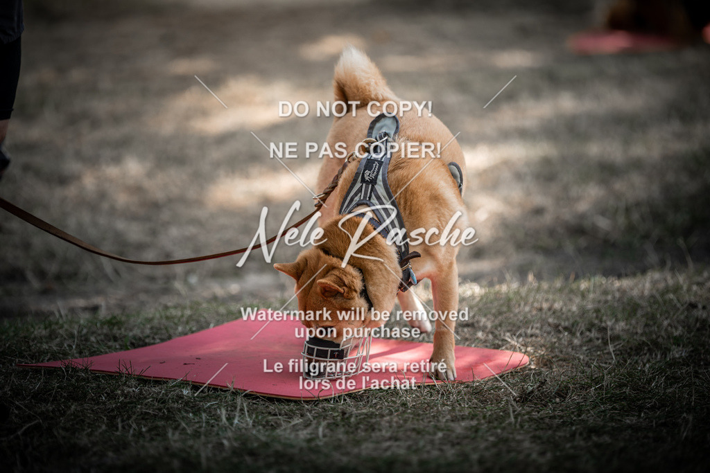 nelerasche_slaw24Do_282 | nelerasche