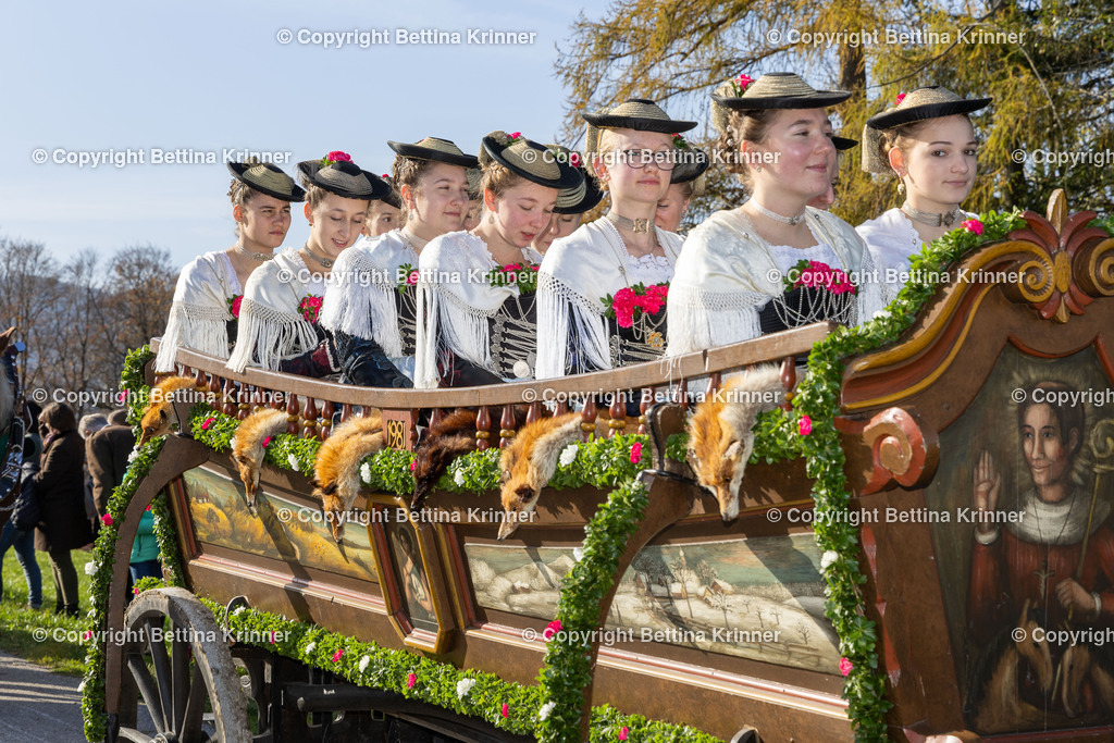 LBT24-1175 | foto-bettina-krinner - Realisiert mit Pictrs.com