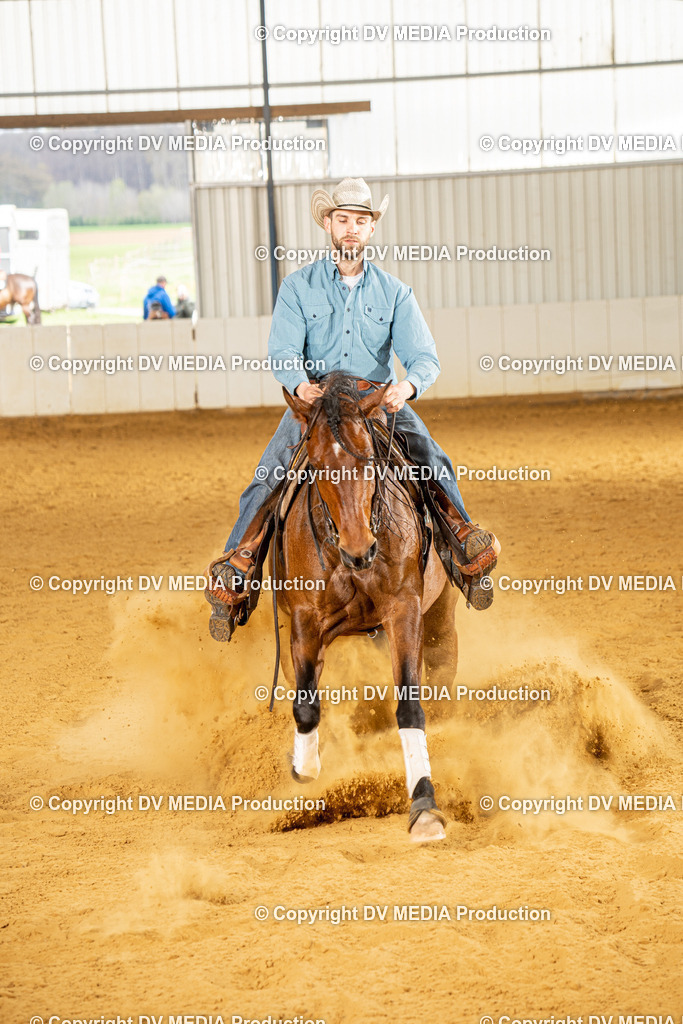 MIT01140 | dv-media-shop - Realisiert mit Pictrs.com