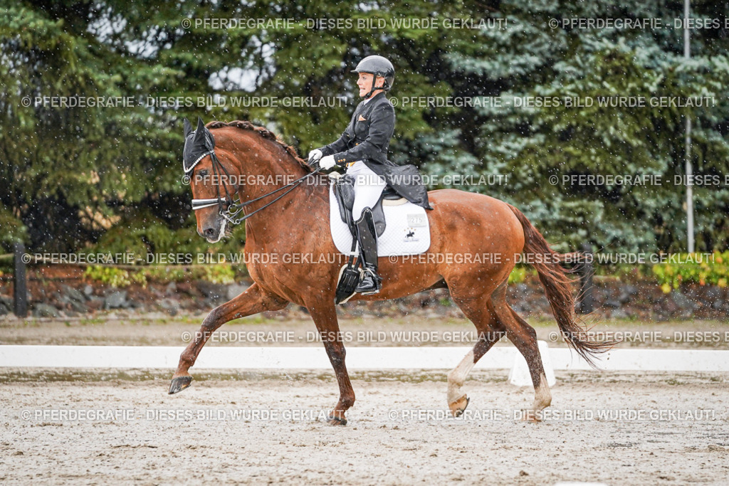 DSC09020 | Pferdegrafie