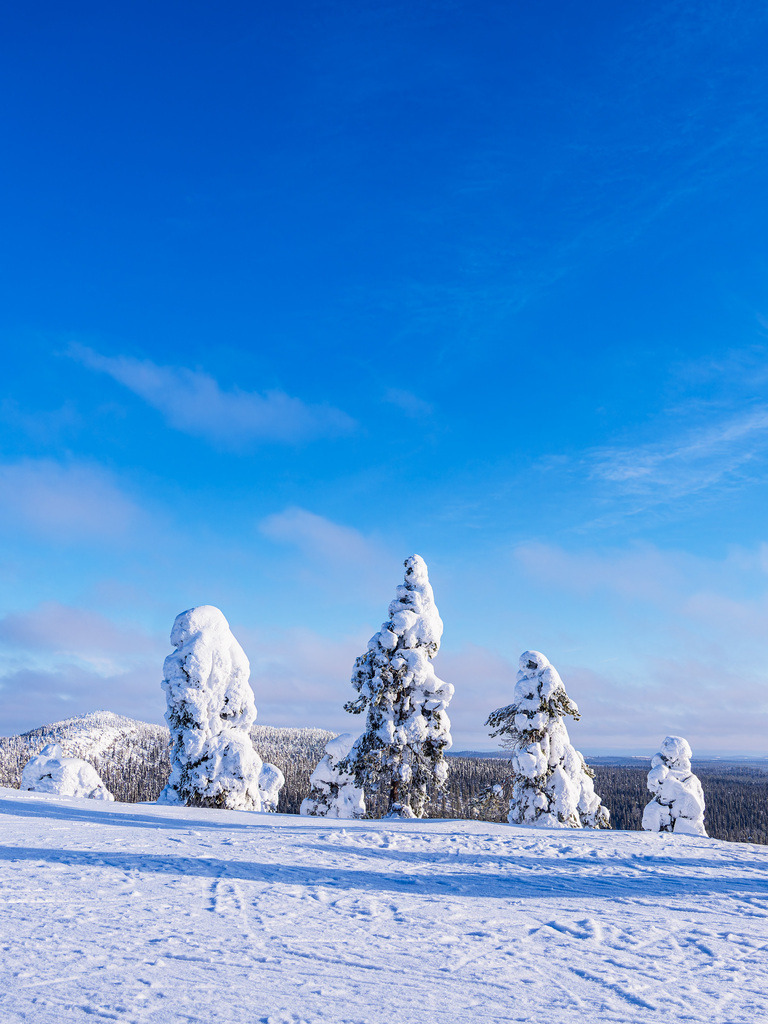 Landschaft mit Schnee im Winter in Ruka, Finnland | Landschaft mit Schnee im Winter in Ruka, Finnland.