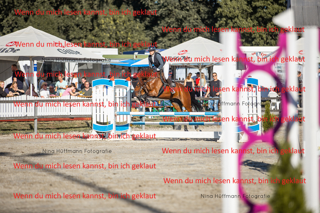 BK1A7816 | Turnierbilder Turnierfotos Nina Hüffmann Turnierfotografie Pferdefotografie Tierzeichnung Haustierzeichnung Pferdezeichnung Hundezeichnung Videograf  - Realisiert mit Pictrs.com