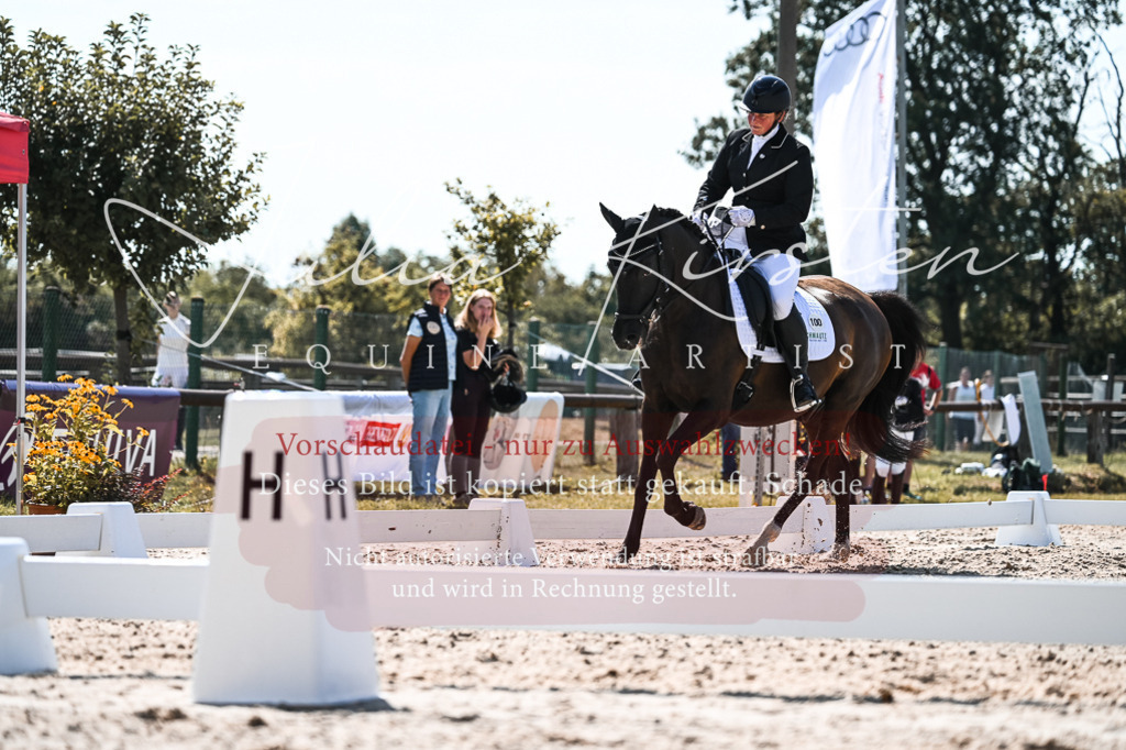 DSC_5018 | Pferde- und Turnierfotografie in Westsachsen. Pferdeportraits, Auftragszeichnungen und intuitive Kunst.