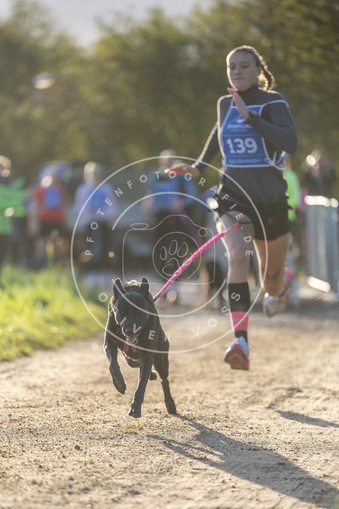Pfotenfotografie.de_DV3A2863 | Hundefotografie, Tierfotograf, Pfotenfotografie, Fotoshooting Hund, Hunde Portrait, Hundesport, Hundeportraits, Heideshooting, Hunde, Sportfotograf, Hundefotograf, Turnierhundsport, THS, canicross - Realisiert mit Pictrs.com