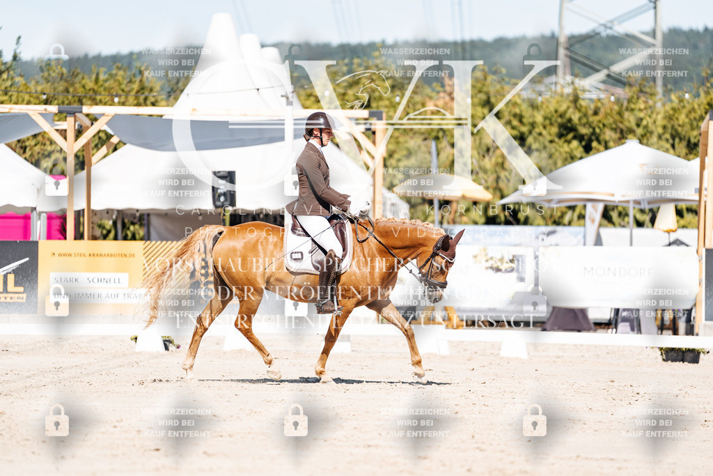 CK909086 | Turnierfotografie Pferdefotografie Trier Rheinland-Pfalz Pferdesport Reitsport Tierfotografie Sportfotografie Pferdevideo Pferdevideografie Equestrianvideography equestrianphotography  - Realisiert mit Pictrs.com