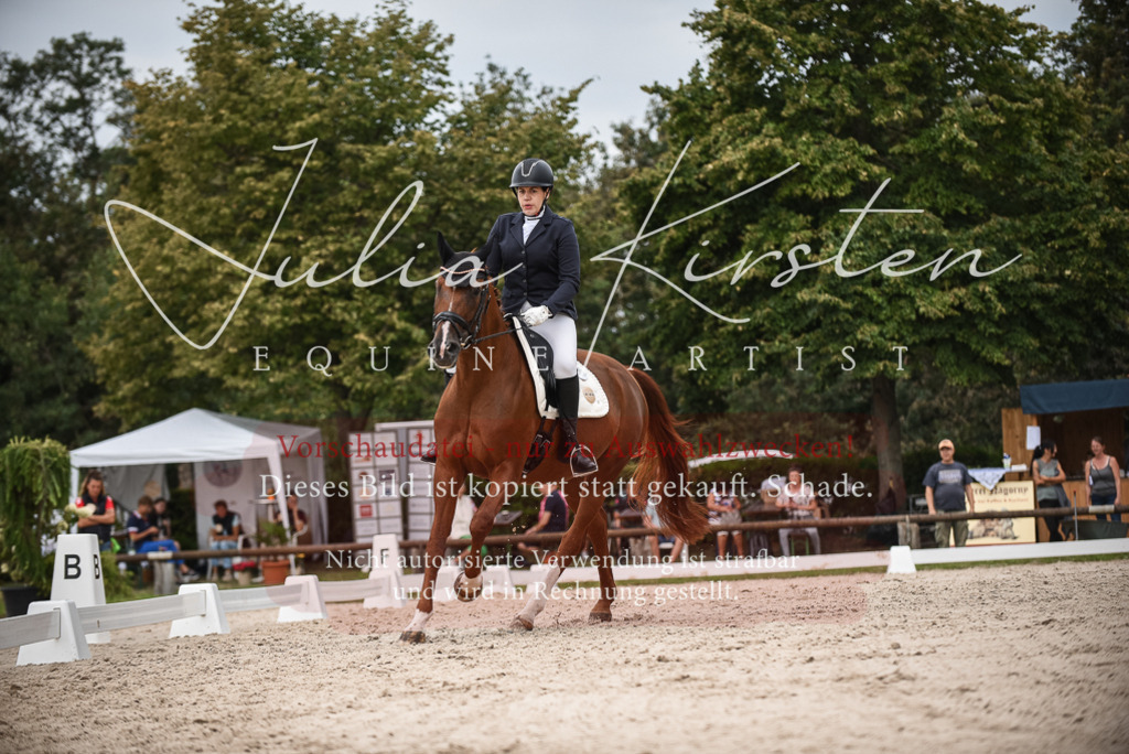 DSC_8382 | Pferde- und Turnierfotografie in Westsachsen. Pferdeportraits, Auftragszeichnungen und intuitive Kunst.