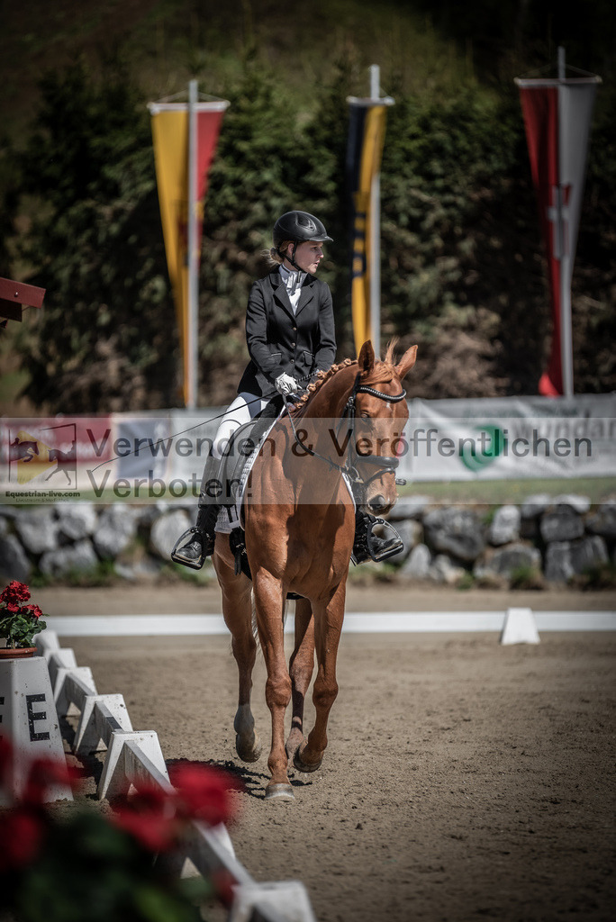 DSC_0013 | equestrian-live-com
