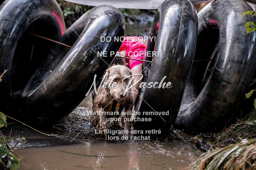 nelerasche_Hunsrück2026_Sa1400-1500_114 | nelerasche