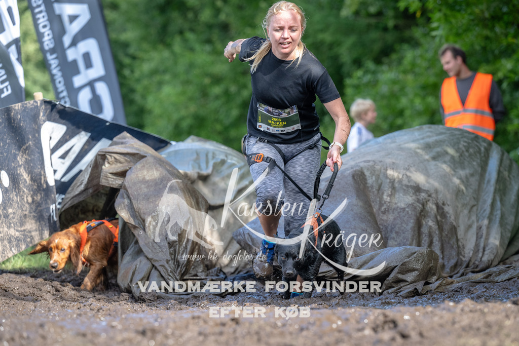 1656_ZZ90525 | kk-dogfotos