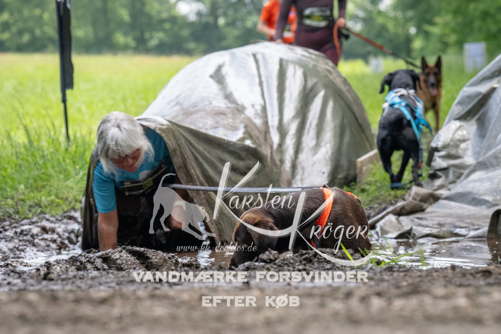 1140_ZZ93798 | kk-dogfotos