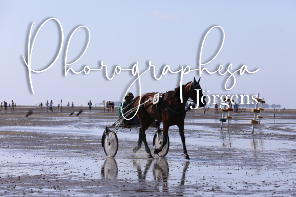 IMG_0379 | photographesa-joergens - Realisiert mit Pictrs.com