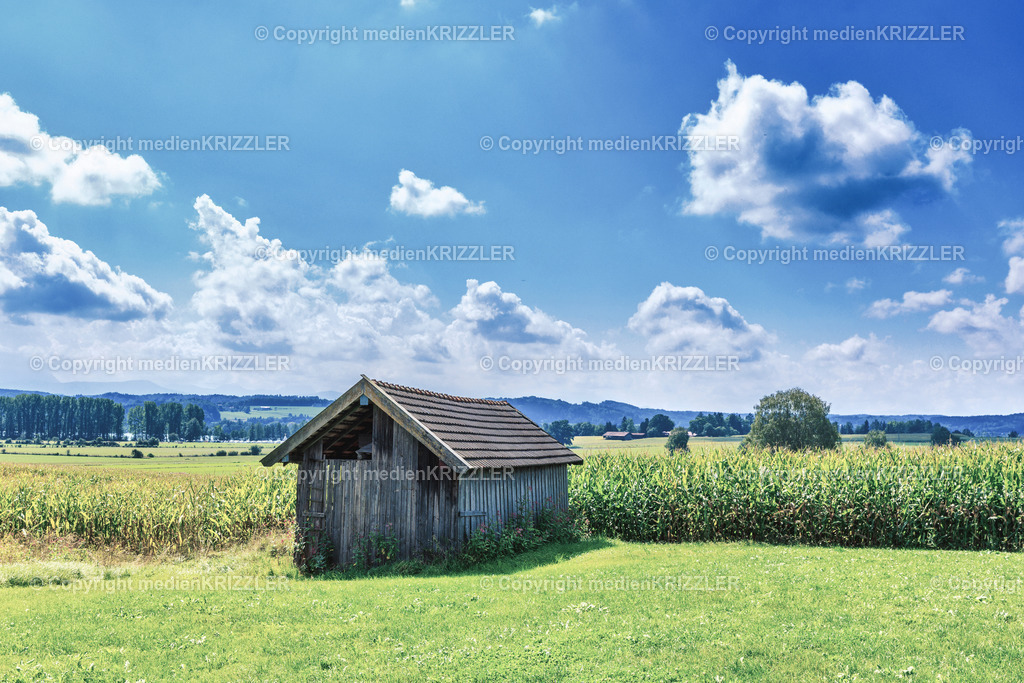 _J3A8522 | medienkrizzler - Realisiert mit Pictrs.com