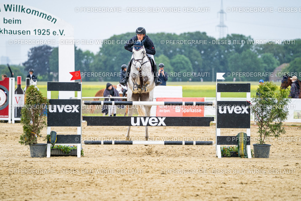 DSC07541 | Pferdegrafie