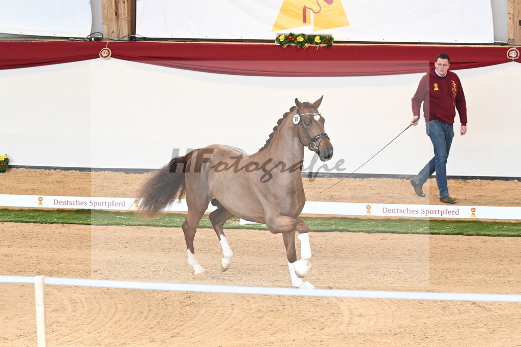 Kat.-Nr. 76 v. Vaderland_Pfefferle_2240916 | hf-fotografie - Realisiert mit Pictrs.com