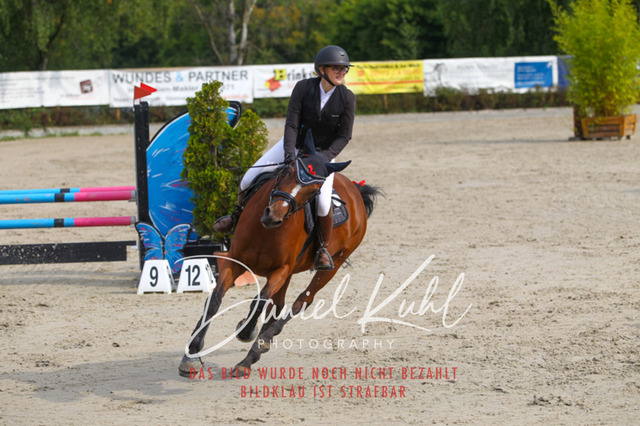 Gut Blee25_Amateuer Stilsprpfg Kl A_0071 | Turniersportfotografie; Pferdefotografie; Dressurfotografie