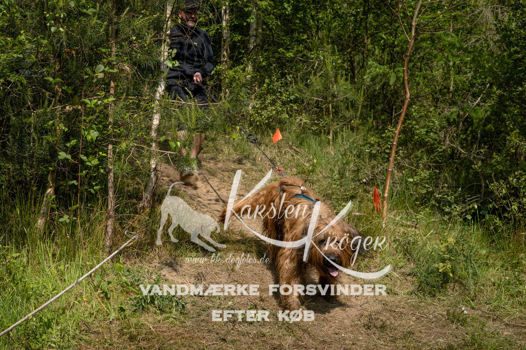 1020DKK990470 | kk-dogfotos