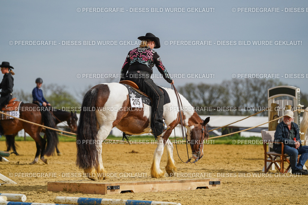 DSC02109 | Pferdegrafie