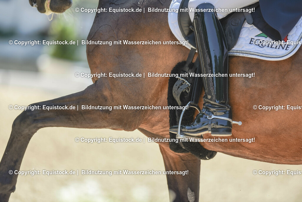 TP5_1353 | equistock