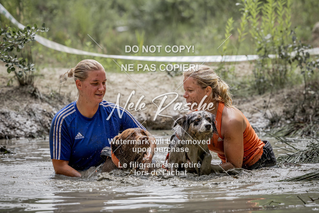 nelerasche_so1330-1400_07 | nelerasche