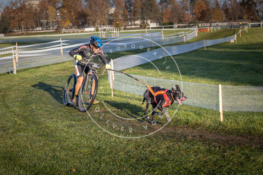 CaniXpix_0L8A3143 | Hundefotografie, Tierfotograf, Pfotenfotografie, Fotoshooting Hund, Hunde Portrait, Hundesport, Hundeportraits, Heideshooting, Hunde, Sportfotograf, Hundefotograf, Turnierhundsport, THS,  - Realisiert mit Pictrs.com