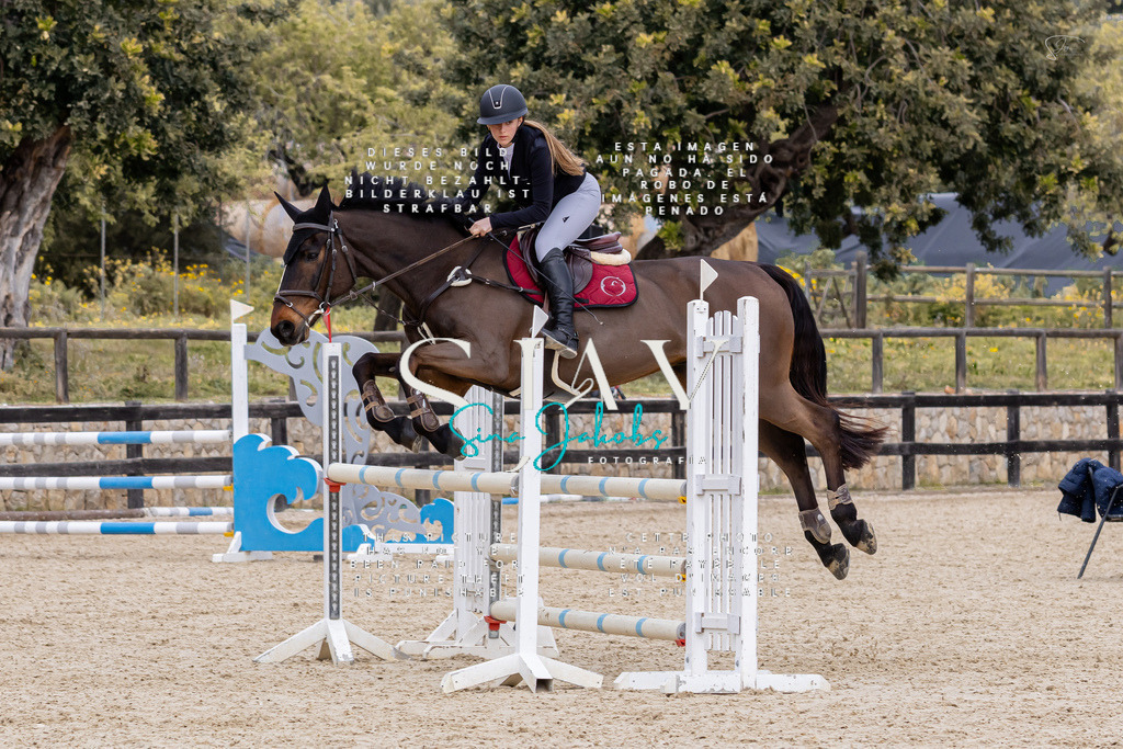 IMG_4912 | s-jay-photography - Realisiert mit Pictrs.com