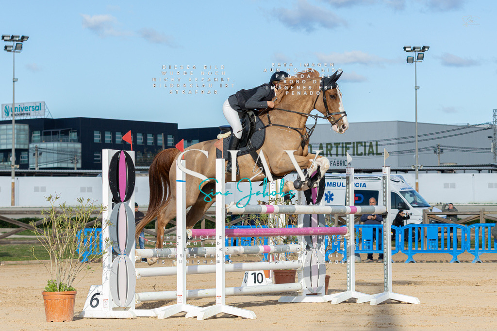 IMG_1712 | s-jay-photography - Realisiert mit Pictrs.com