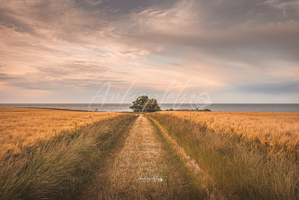 Feldweg. Steilküste Weissenhaus | ankerplatz-schleswig-holstein - Realisiert mit Pictrs.com