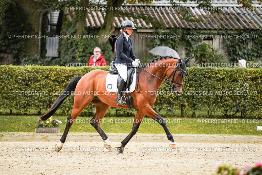 DSC07304 | Pferdegrafie